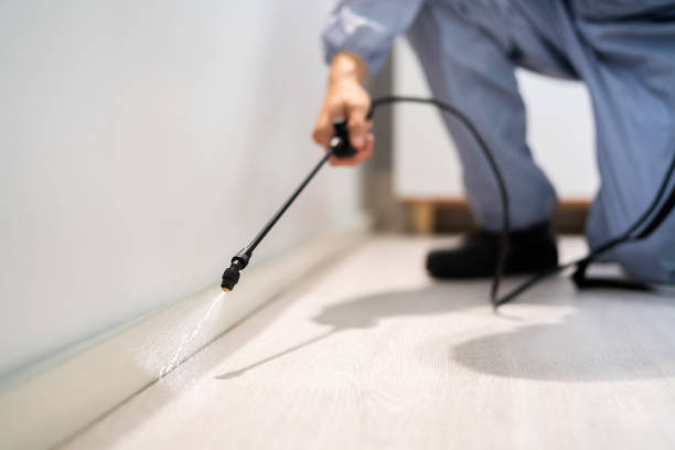 Bed Bug Pre-Treatment Preparation Assessment in Carrizozo