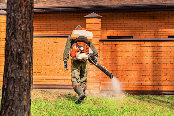 Bed Bug Clearance Verification and Documentation in Carrizozo